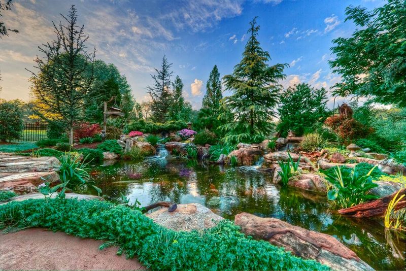 Swimming pond concept drawing