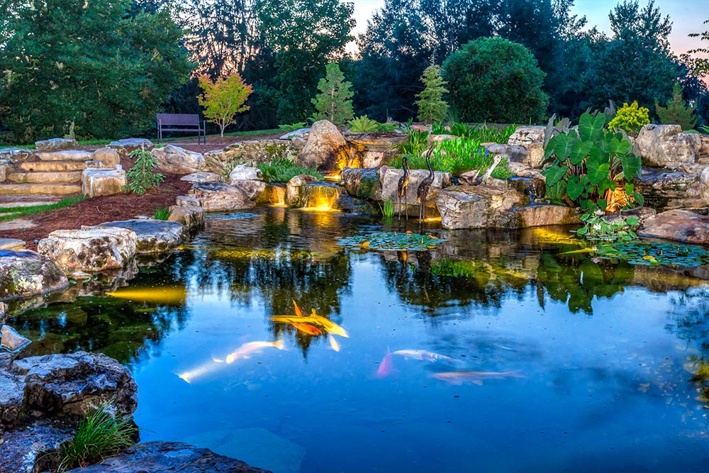 Pond and waterfall lights