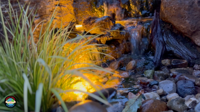 Garden waterfall with rocks and plants