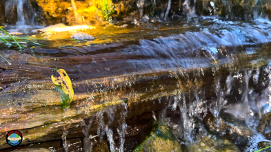 Water cascading over rocks with sunlight reflection.