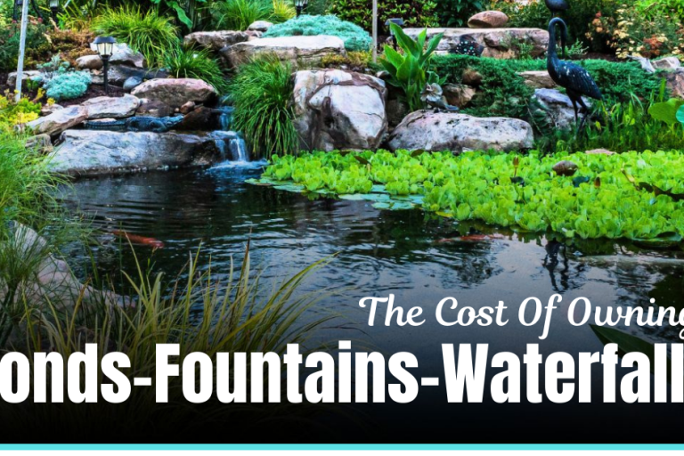 Garden pond with lush greenery and waterfalls