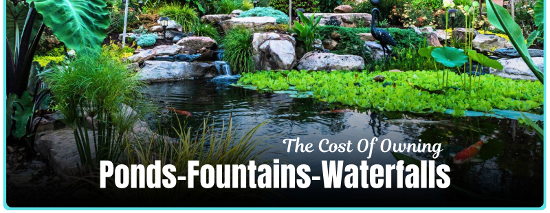 Garden pond with lush greenery and waterfalls