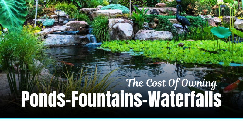 Garden pond with lush greenery and waterfalls