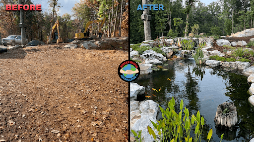 before and after