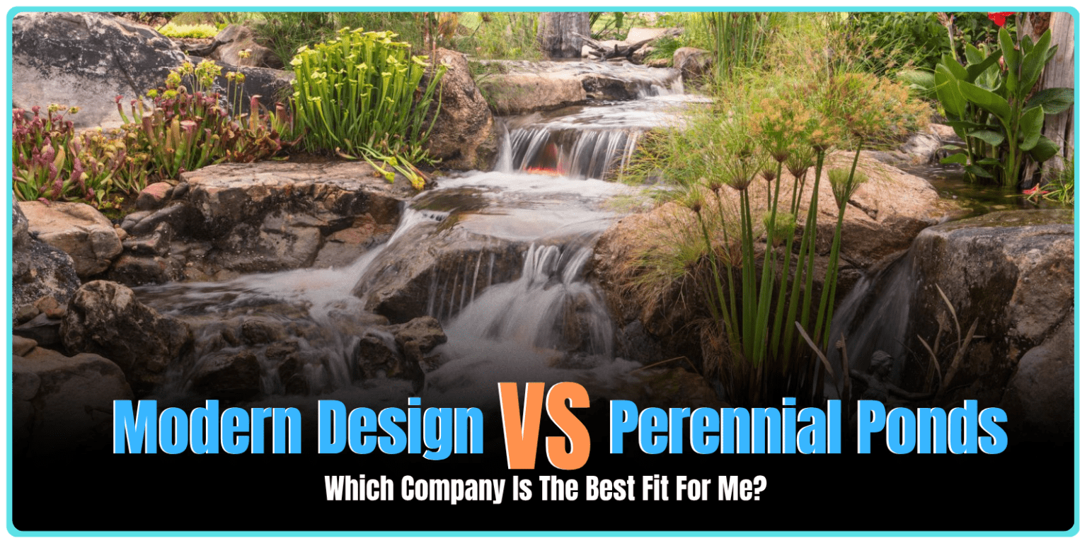Modern Design Aquascaping vs. Perennial Ponds