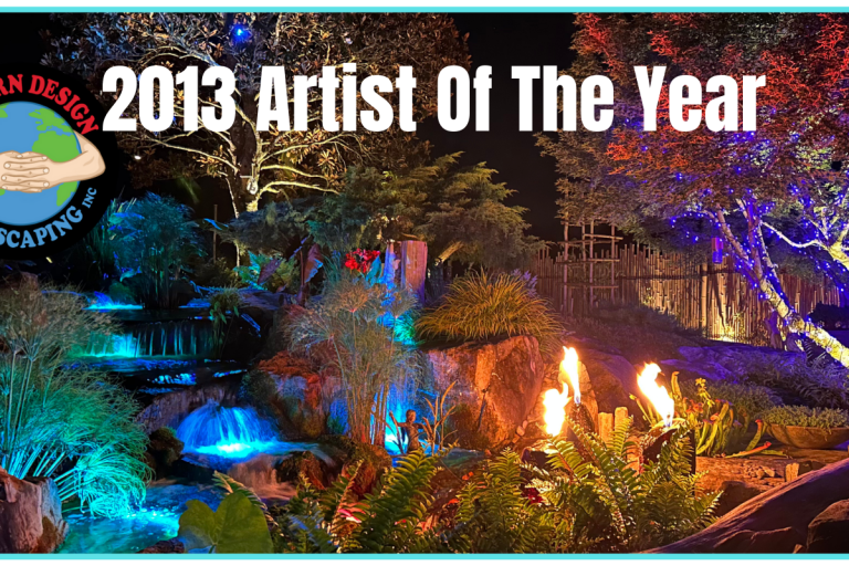 Award-winning aquascape garden with colorful lights and fire.