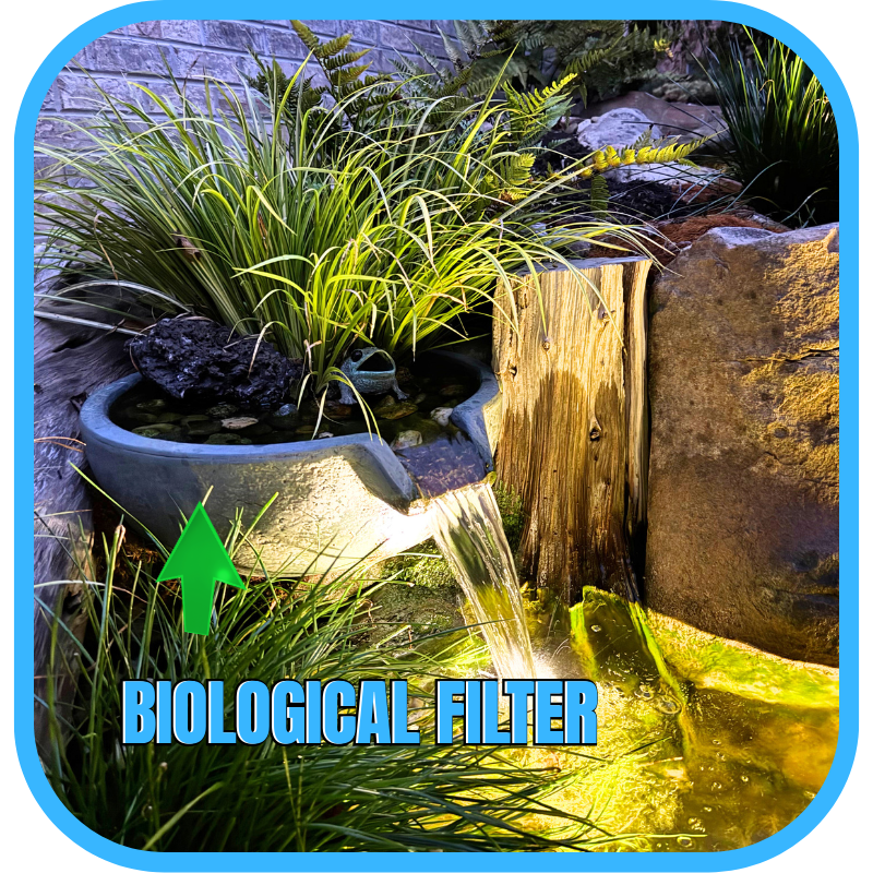 Waterfall with hidden biological filter system