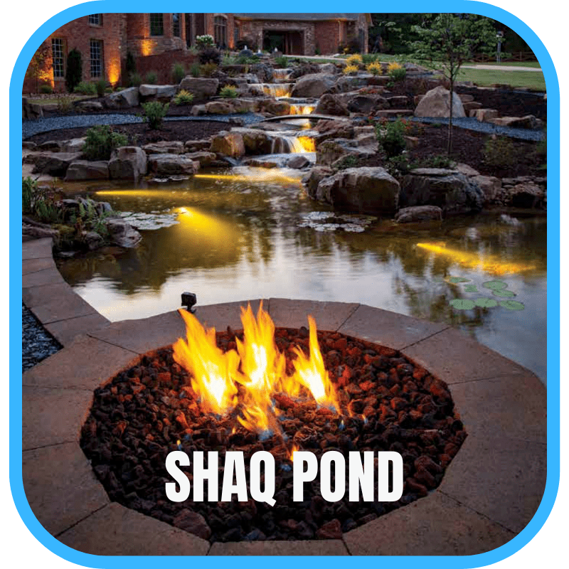 Shaq pond AOTY