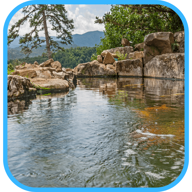 Right size and depth for a beginner pond