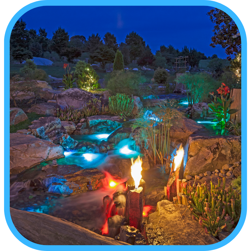 True cost of owning an ecosystem pond