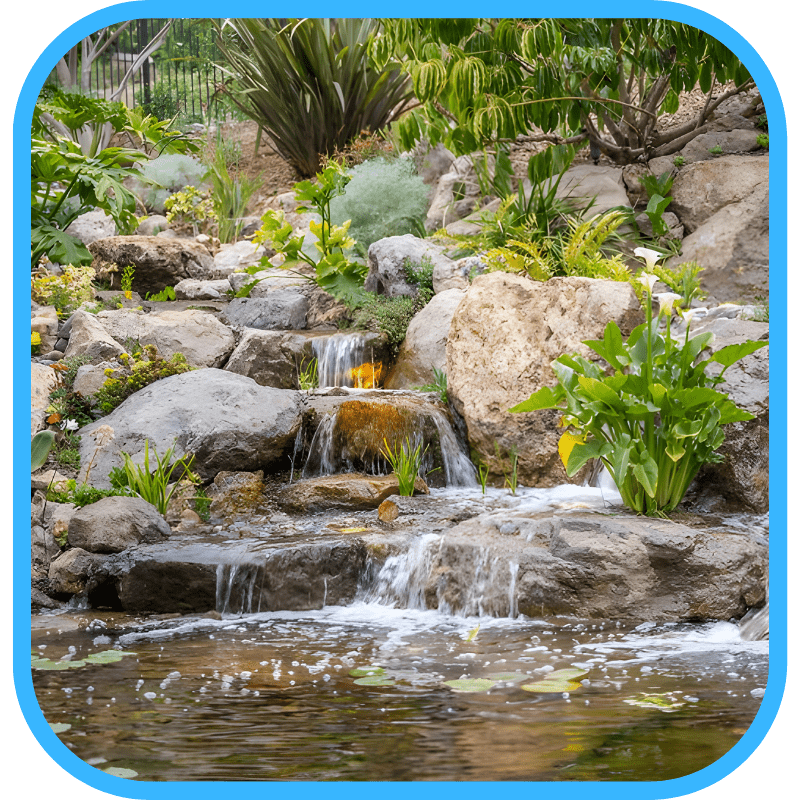 Correct shallow shelf placement — behind the waterfall