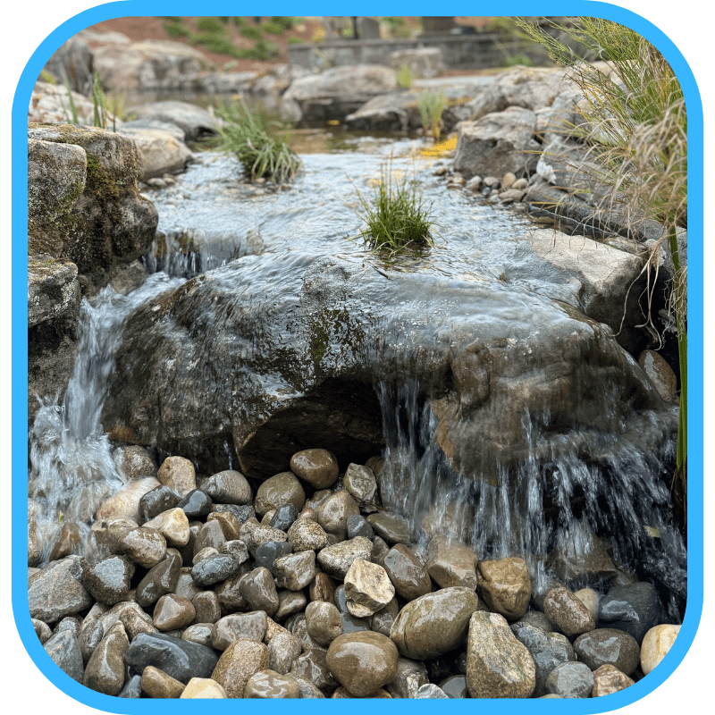 Rock outcroppings around ecosystem pond