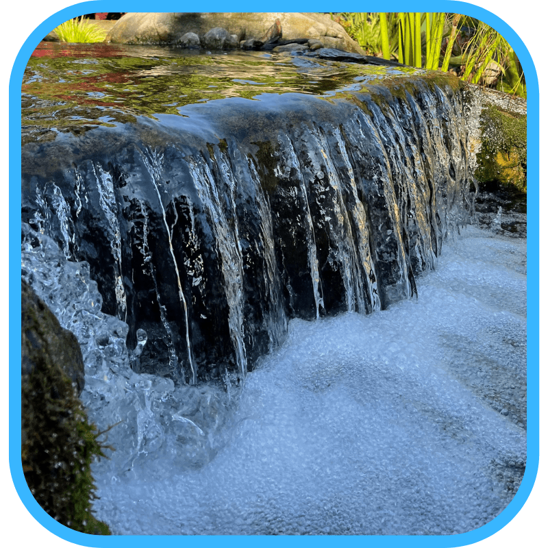 Water level above grade — pond construction mistake