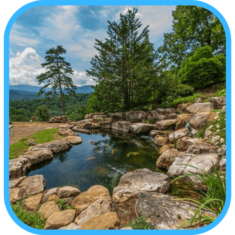 Natural ecosystem pond