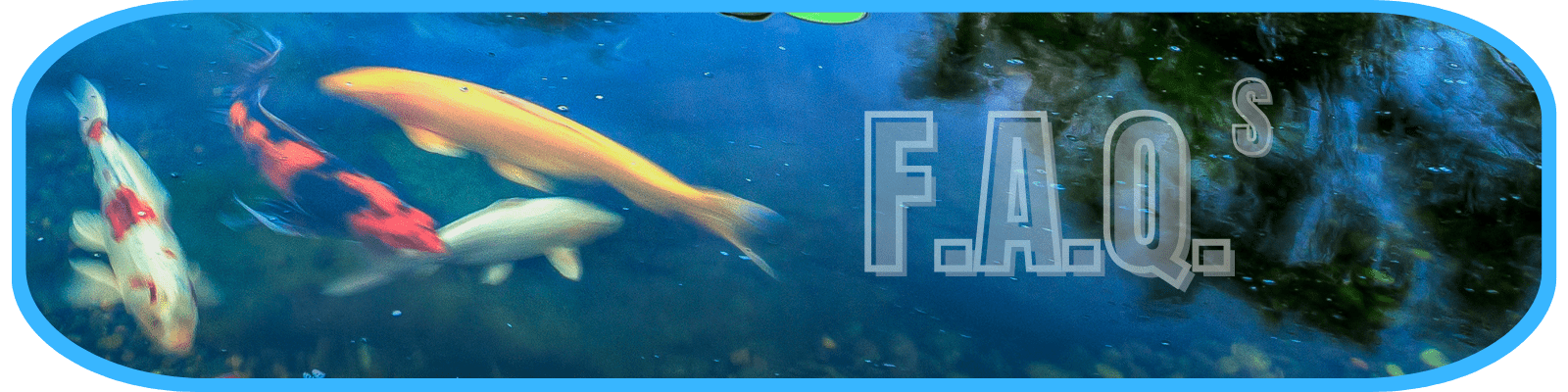 Frequently Asked Questions About Ecosystem Ponds