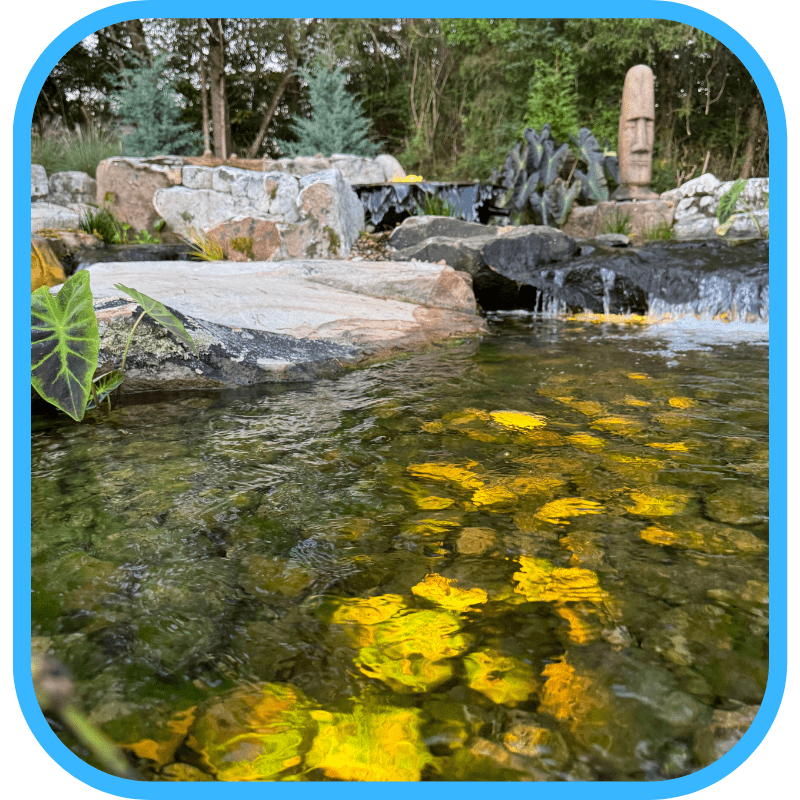 Traditional koi pond filtration system