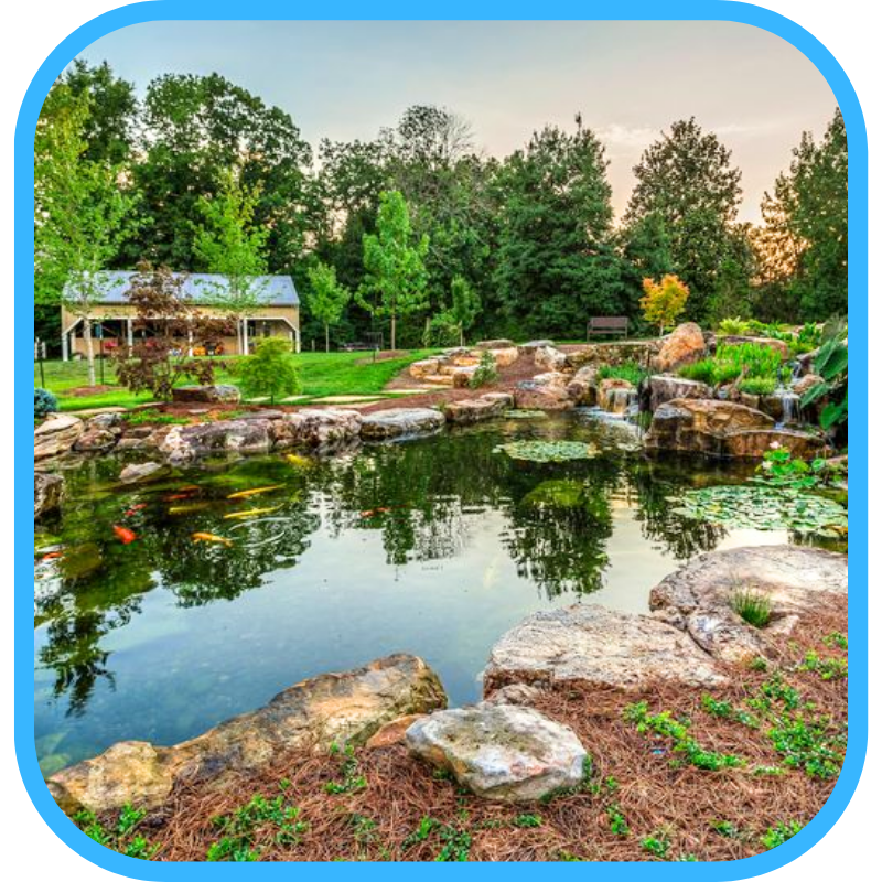 Natural ecosystem pond blending into landscape