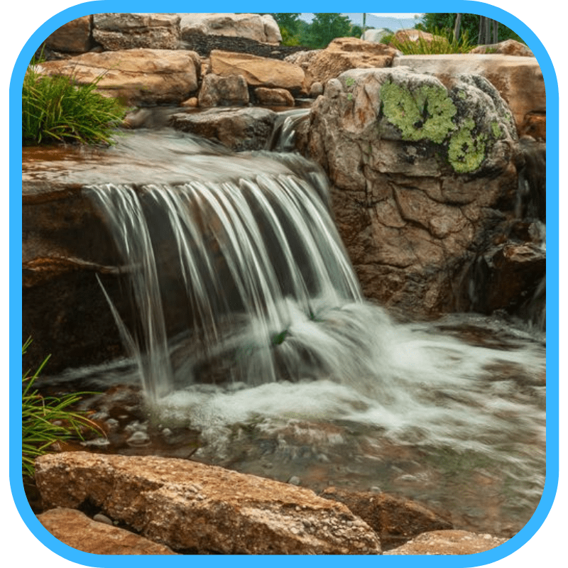 Ecosystem pond components overview