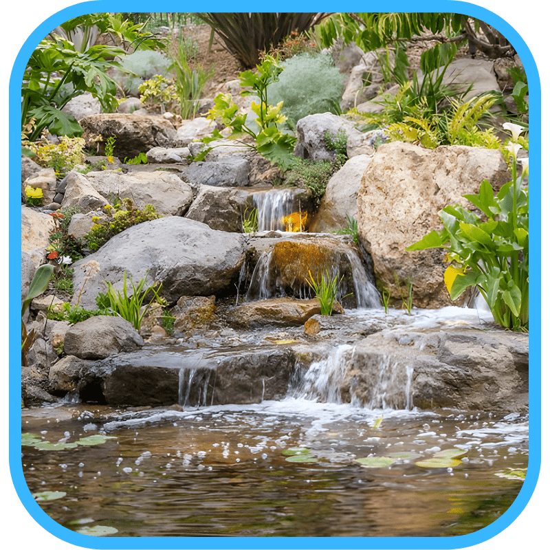 Ecosystem pond waterfall