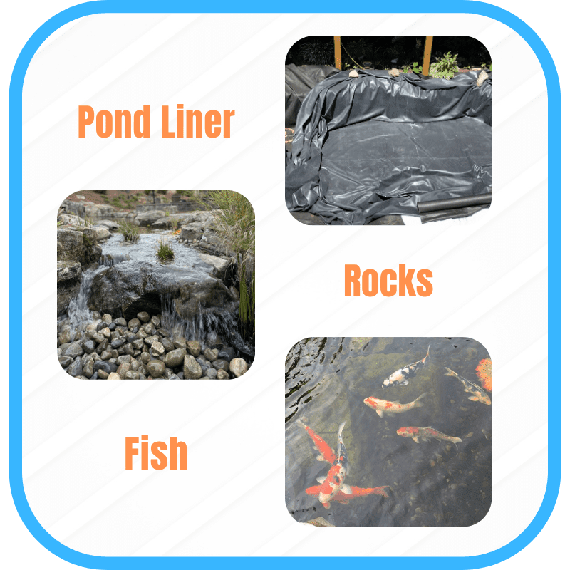The five components of an ecosystem pond