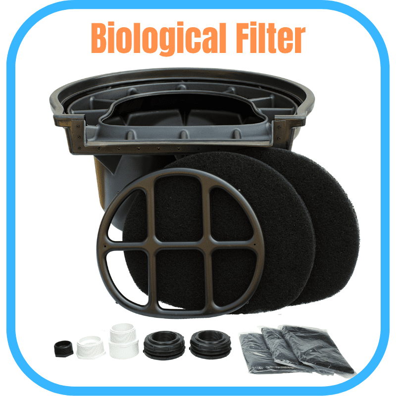 Biological filter for ecosystem pond