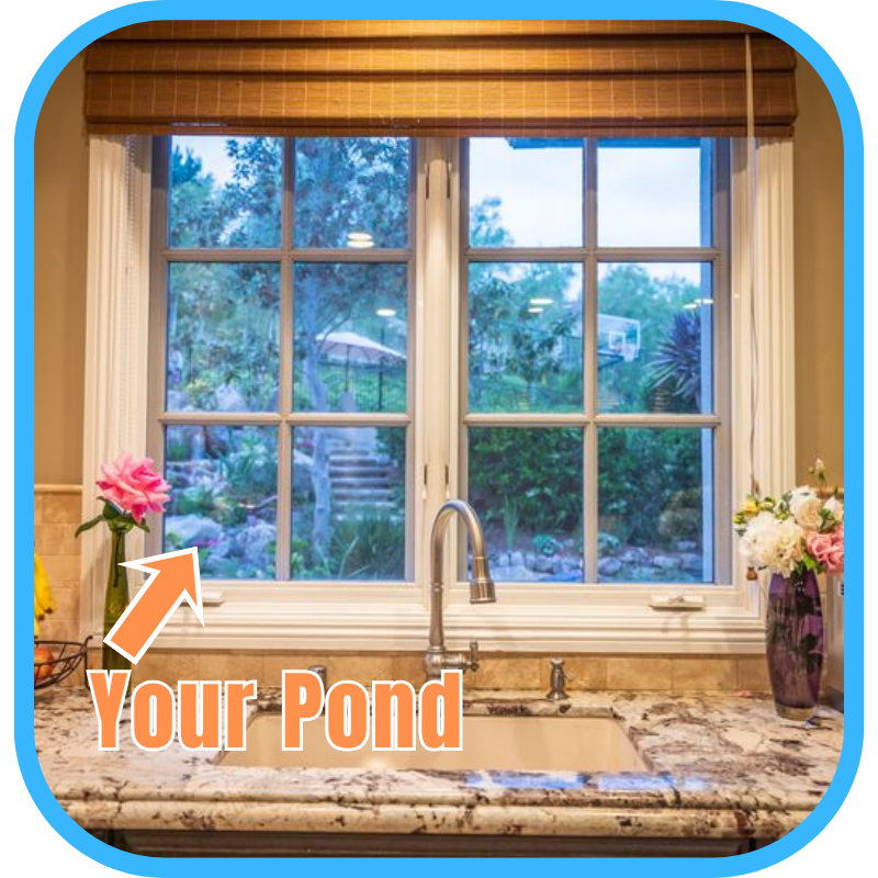 Place your pond close to your home