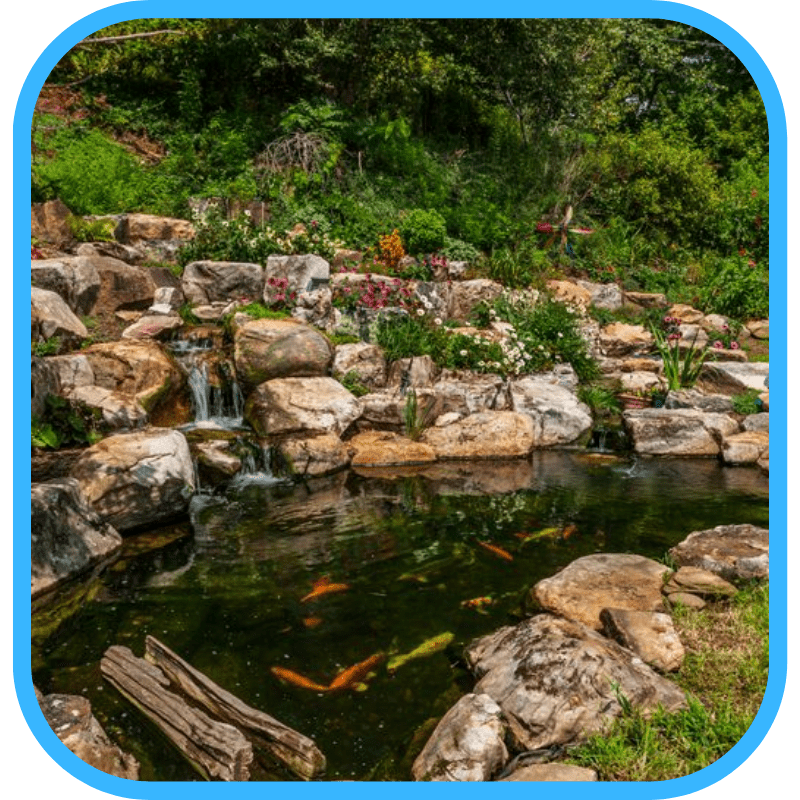 Building the right size pond for your backyard