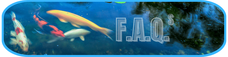 Frequently Asked Questions About Ecosystem Ponds