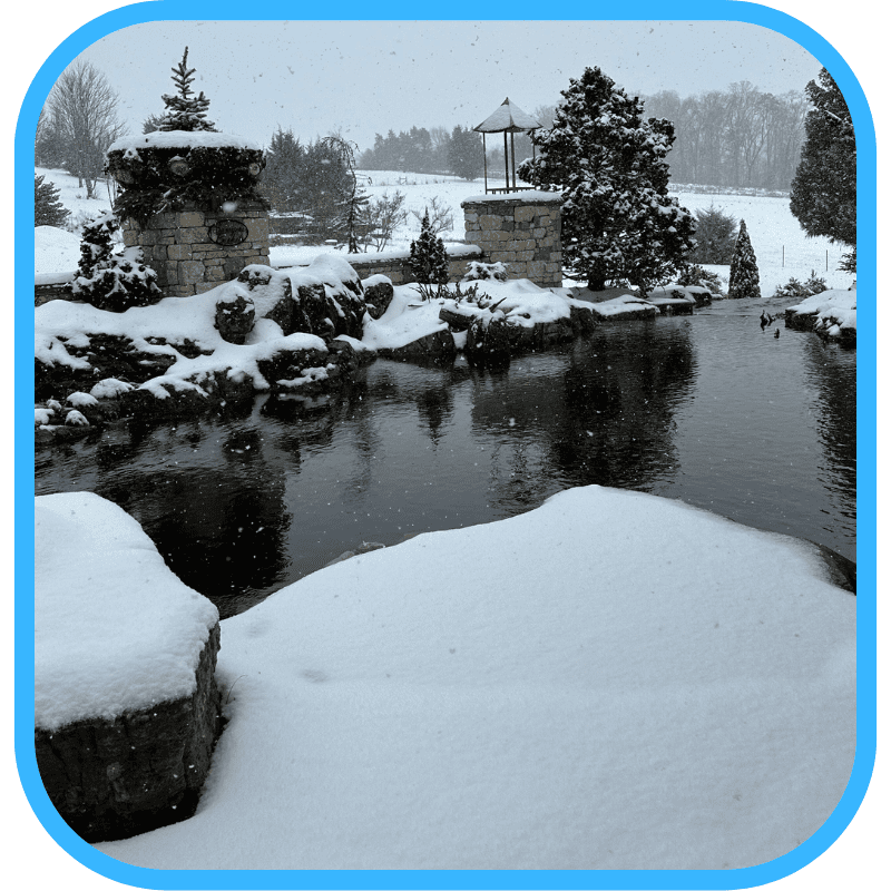 Snowy winter ecosystem pond