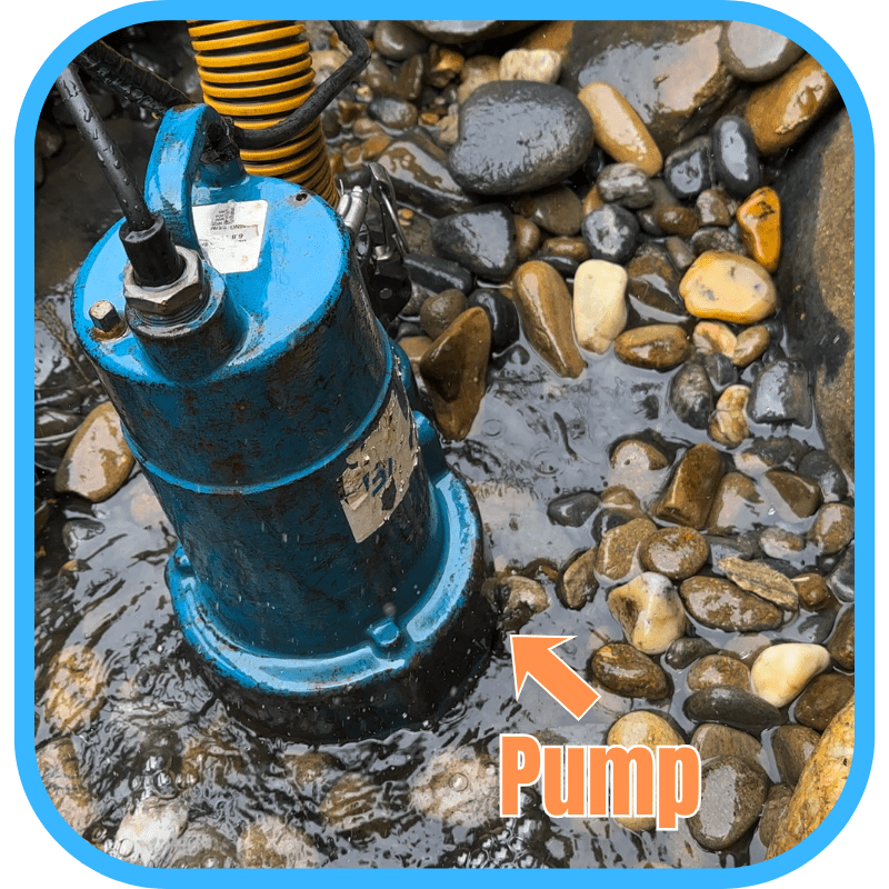 Pond pump — routine maintenance protects critical equipment