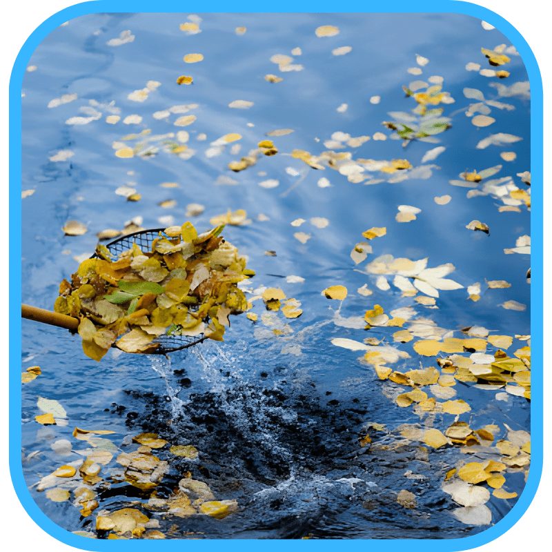 Leaves being netted from pond — routine maintenance prevents emergency repairs